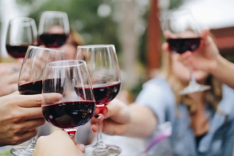 Degustação de vinhos e queijos artesanais